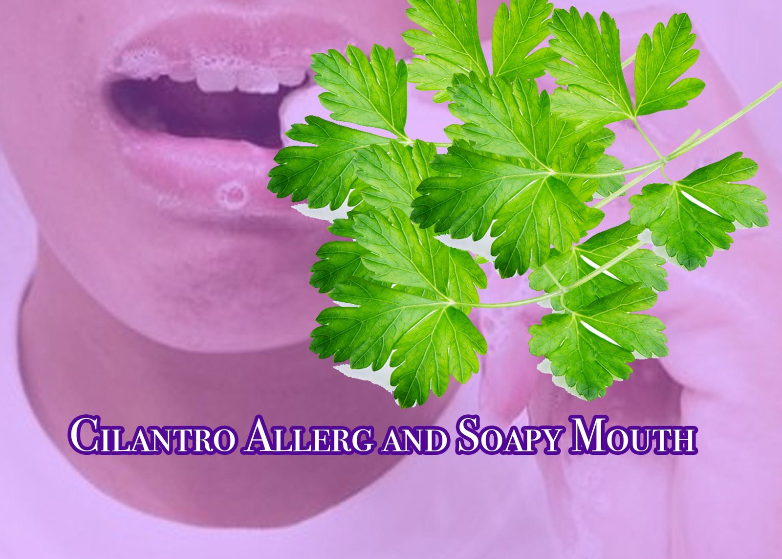 Cilantro Allergy - soapy mouth and why