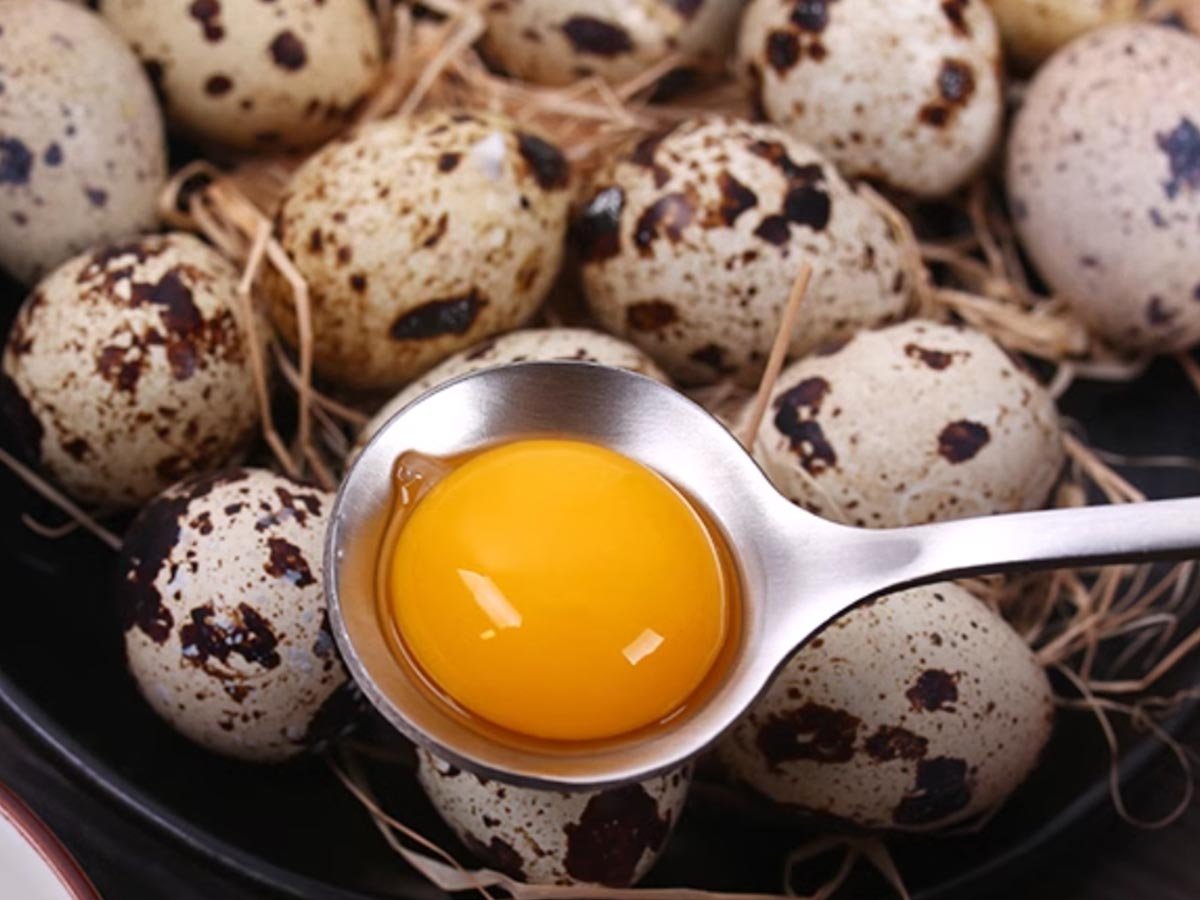 Quail Eggs for Allergies: All the Info You Need