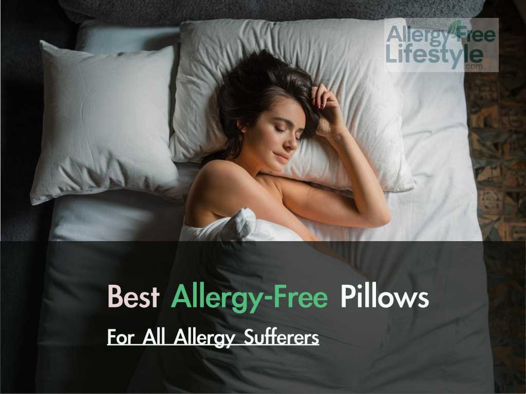 Best Allergy-Free Pillows