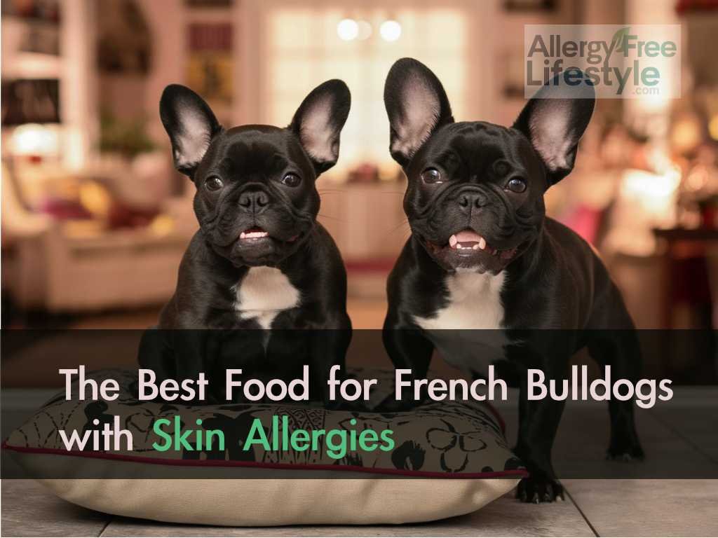 The Best Food for French Bulldogs with Skin Allergies